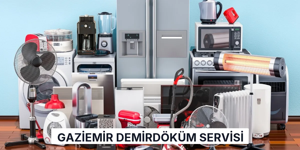 Gaziemir Demirdöküm Servisi