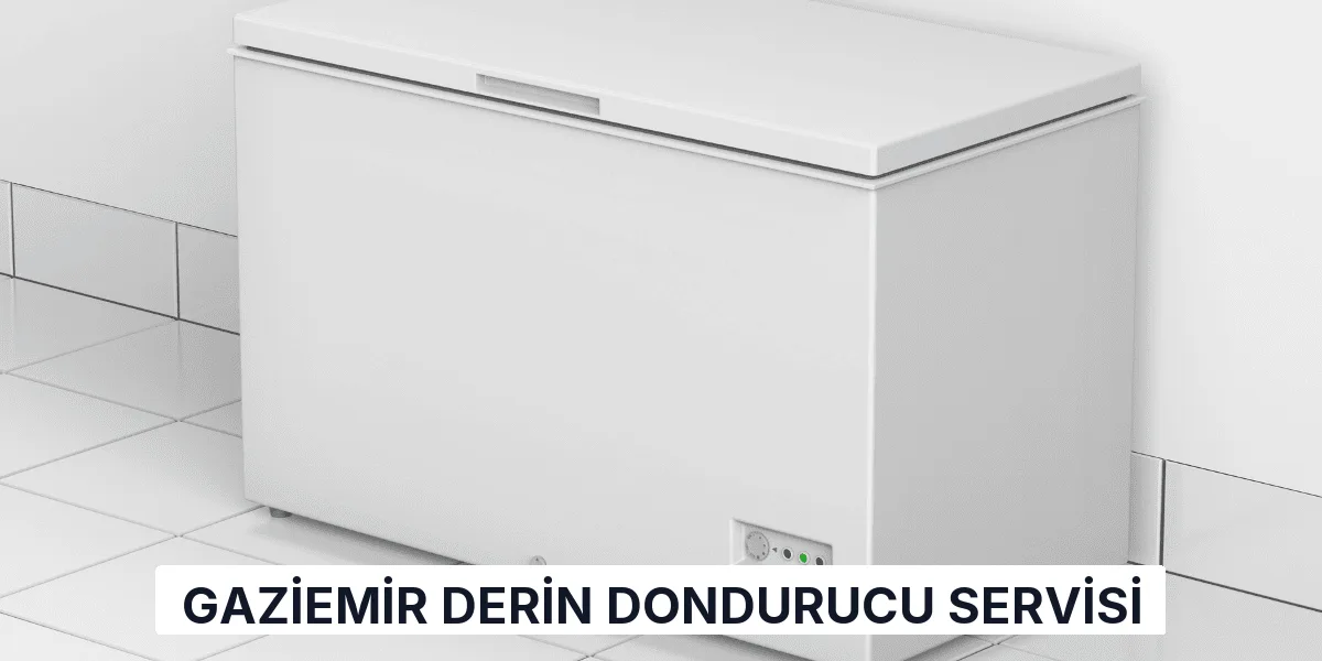 Gaziemir Derin Dondurucu Servisi