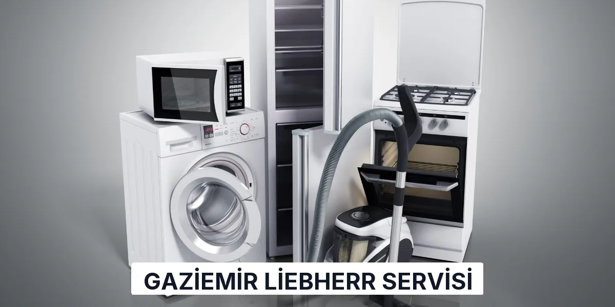 Gaziemir Liebherr Servisi