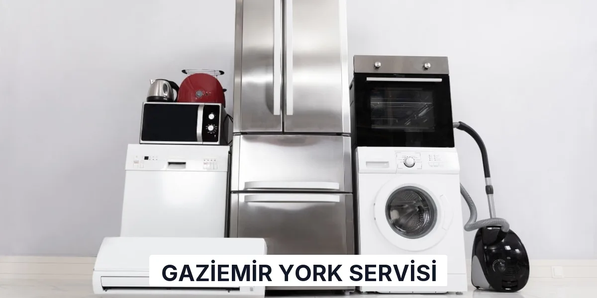 Gaziemir York Servisi
